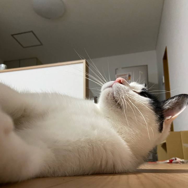 Ccb9305c 14c0 466a 8ce4 1cbbdae9a833 1585050511239