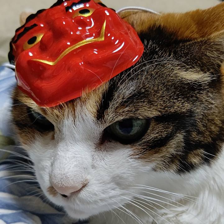 Ccb93377 b890 4159 b4d0 cc1677cbab5f 1642327601715