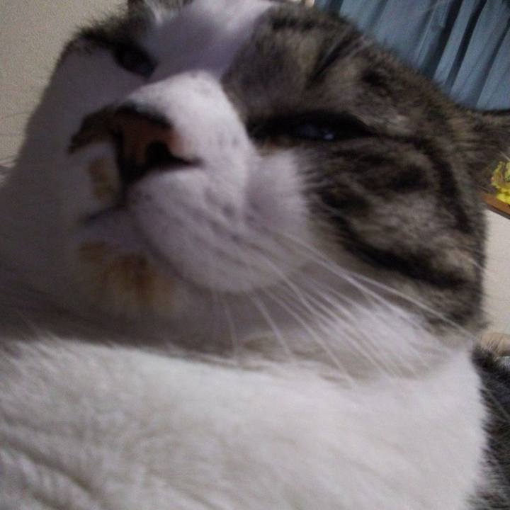 Ccb98881 6ae8 4056 8bdb eafac7111fed 1662262532232