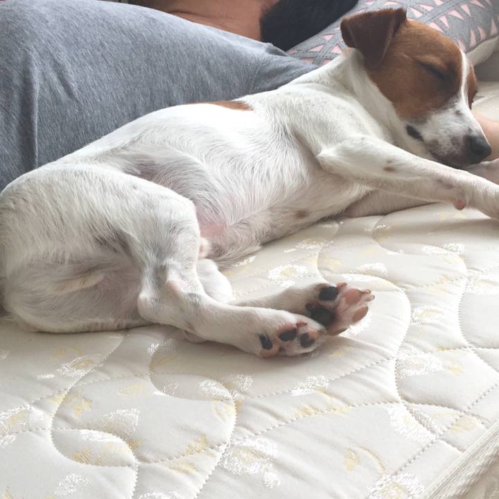 Ccb98bfc 80b8 4360 a273 8658dd38b693 1530013634588