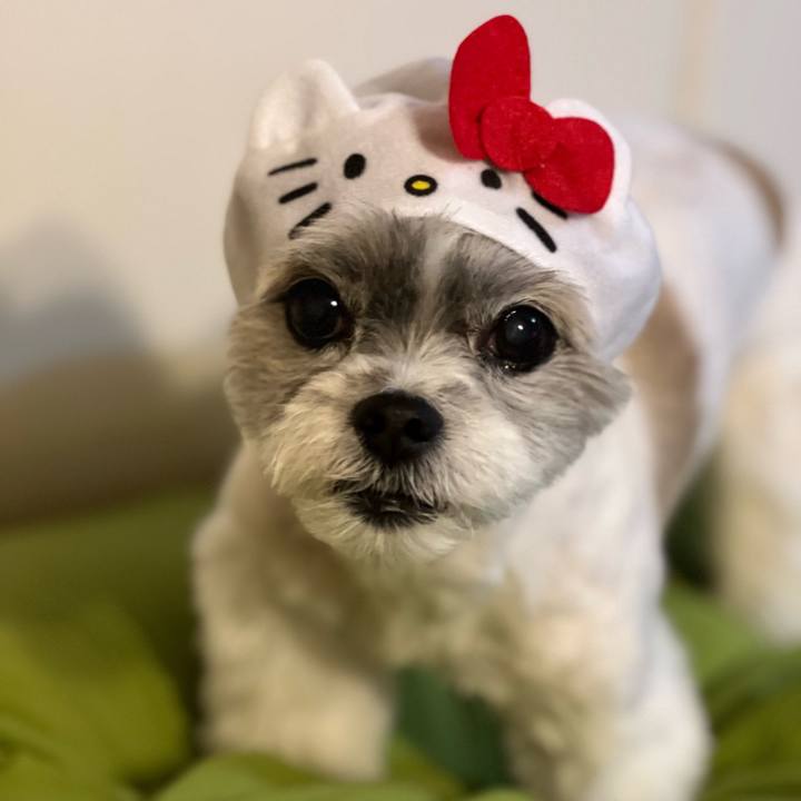 Ccb9acd3 6a05 4ddb bc71 15e82842b133 1759310973978