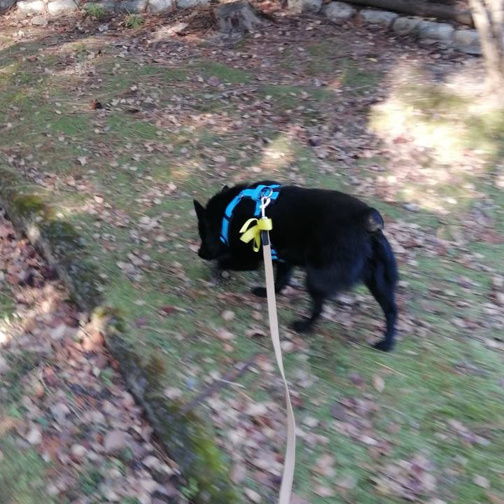 Ccb9f9fe a945 4cd8 8f8d ea5cdc87bed0 1638575787462