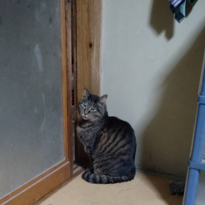 Ccba59d0 0aa4 418c b281 d4bd33faab2a 1743584497186