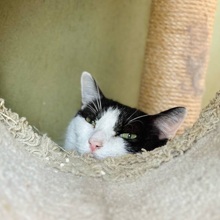 Ccba6c5e db3e 4978 a00e 4f9a2ff4f991 1724197776942