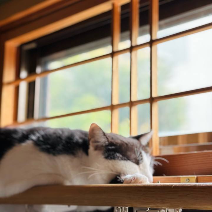 Ccba77ee 83a3 43b3 9211 f429b8190d68 1665538014068