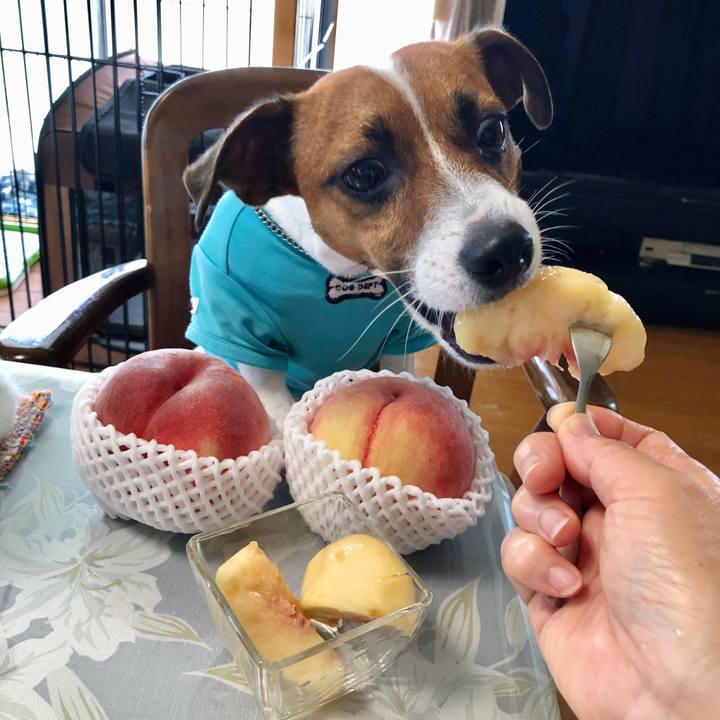 Ccba80c4 d060 47fe a18a 4f5c9353c452 1598574531105