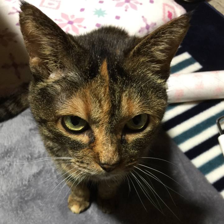 Ccba8bb8 32b7 4f6f a894 55296ee2848e 1525868478991