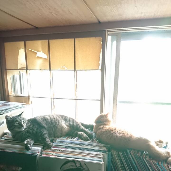 Ccbab0bc a229 4e10 b279 d2945e6ca2b0 1656832950657