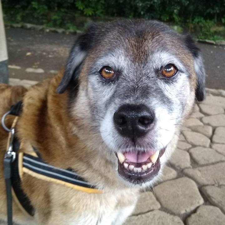 Ccbab399 c188 4139 bb5f d4605b93893f 1566517853409