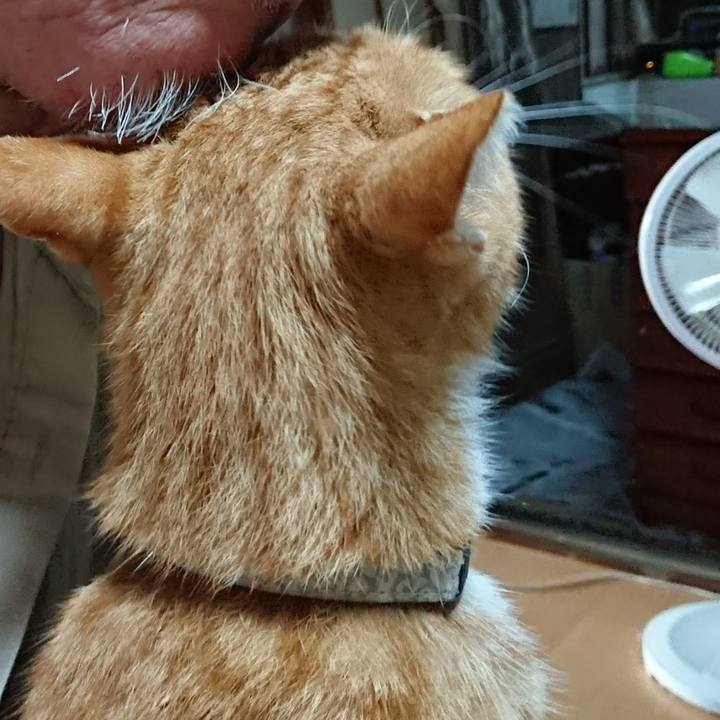 Ccbabc55 cee7 45ef b9eb 45a5292d58ef 1597092675641