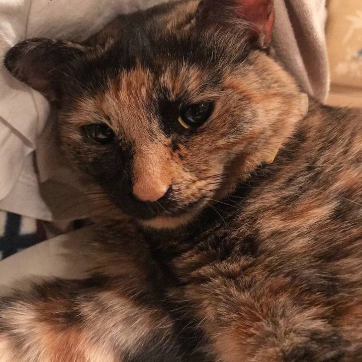 Ccbae994 fec2 4383 bd7c 30aaf0a26d67 1521381013162