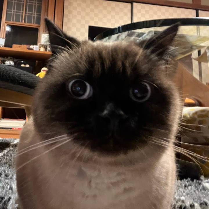 Ccbb1e4b 0d45 4a1d a870 8fb257cfaebe 1668689434402