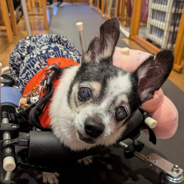 Ccbb7bc1 fd4a 4ac2 919b 6fbe17c2eac8 1766046768376