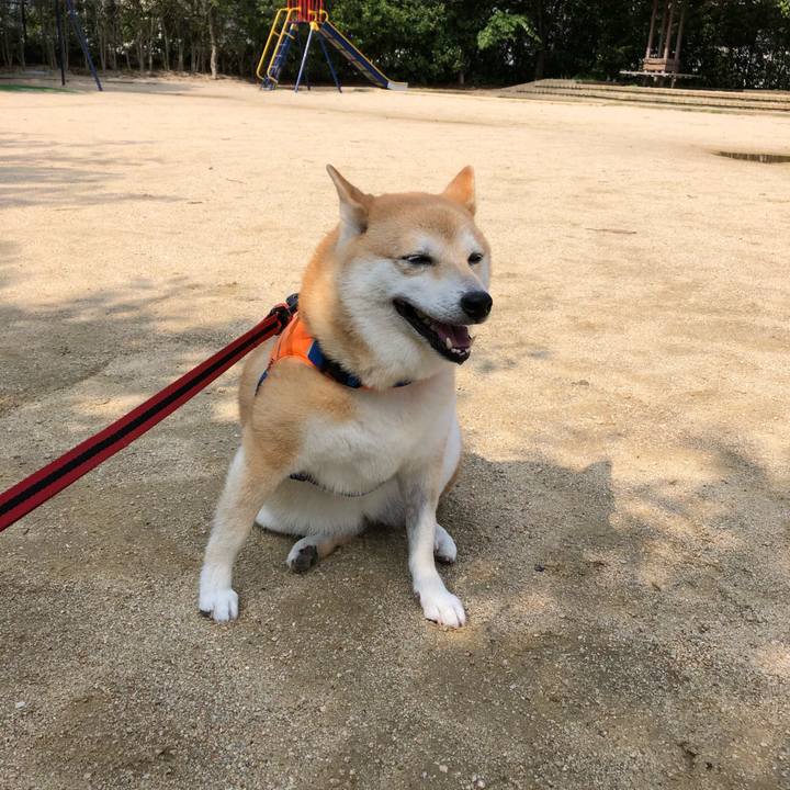 Ccbb80c6 eba1 493f 89da 5877cfa1dfa9 1563842065767