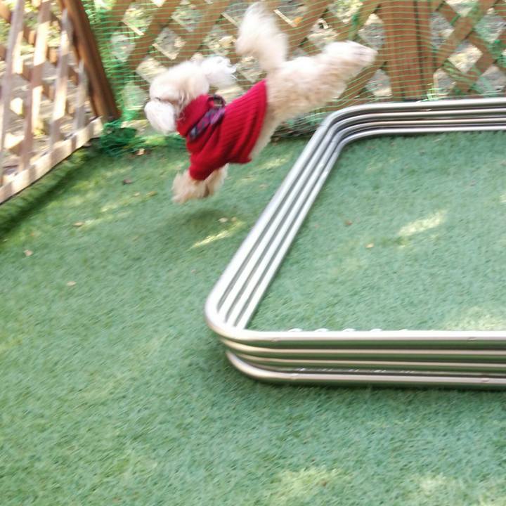 Ccbc0258 4506 44b1 ab3e 39bfdfaf91a3 1543396329833