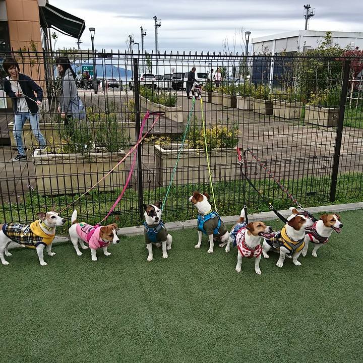 Ccbc06d3 5e42 496f 9187 549766e31fa8 1556683996596