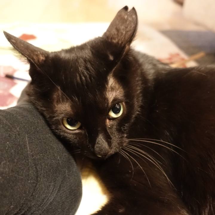 Ccbc0e62 bb33 4a01 8485 1d34da1fc539 1522082872157