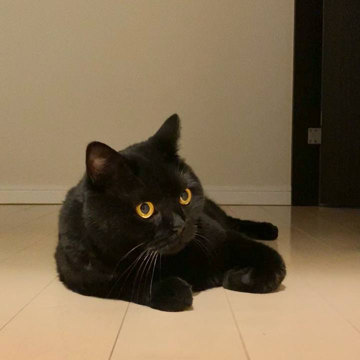 Ccbc5ae9 b107 4439 898b a8b826b7e7d6 1661002908967