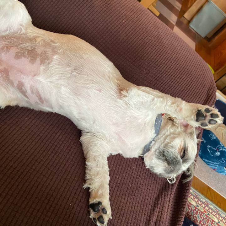 Ccbc67e5 2f9e 4768 be49 363b708b19ef 1664889430511