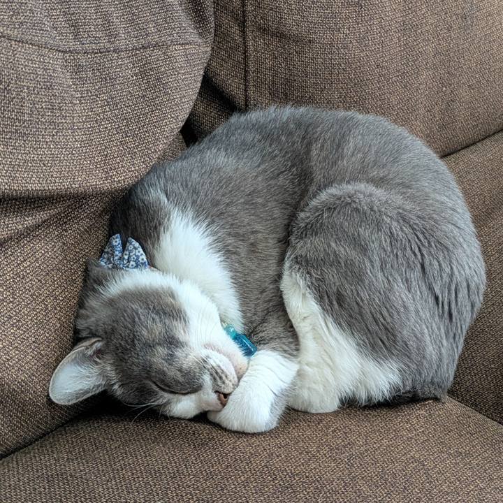 Ccbc7bf2 aaab 4b7b afe6 7d9e9f29c3ef 1734701142531