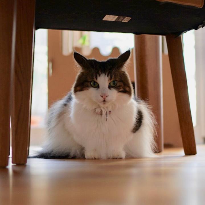 Ccbc7da1 b575 43ea 9ca5 af06c84f9bff 1569897784481