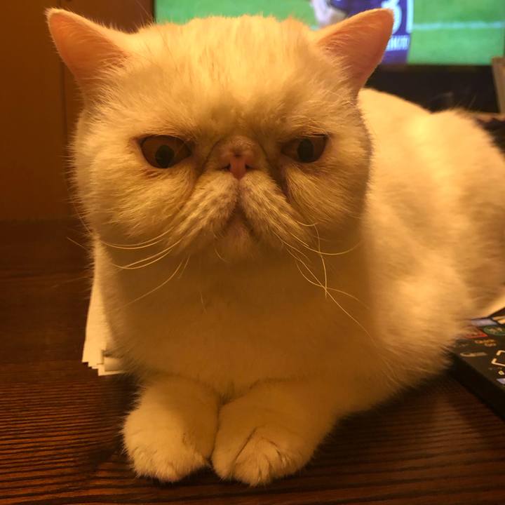 Ccbc8e44 fdd7 423d a85e ef5f4ef708b9 1664971530386