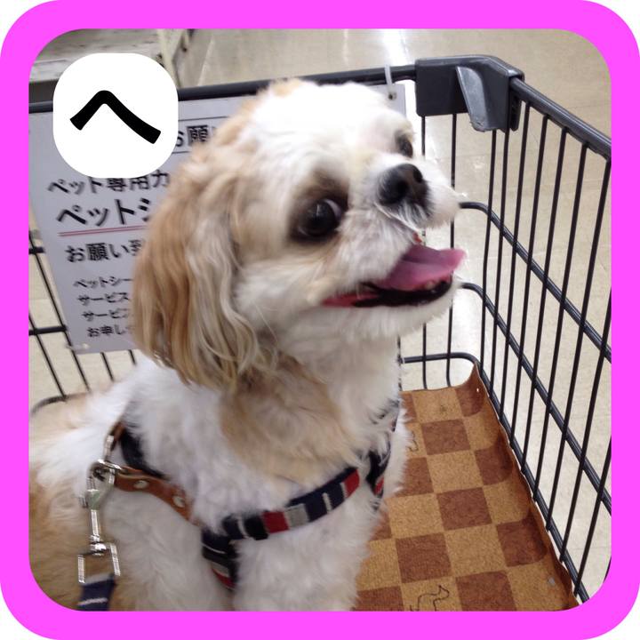 Ccbc9645 7829 4187 9fc3 b6e0d7dd37ab 1514980562271