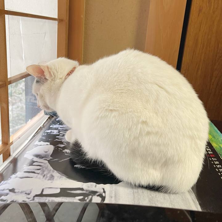 Ccbc9916 43c6 4160 9b87 12d975dabf74 1769467750367