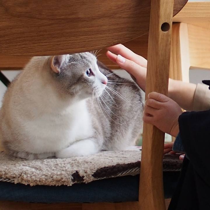 Ccbc9c23 4b65 467e a62c 520f4e6d5622 1543204679001