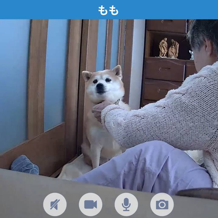 Ccbcb4d7 a075 4378 a5f7 1e13a31749f2 1771733768395