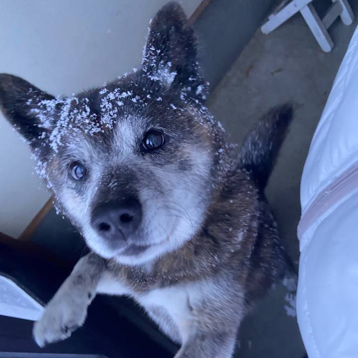 Ccbcc0d7 84e4 4da4 b01a ea52edd846fc 1705358494724