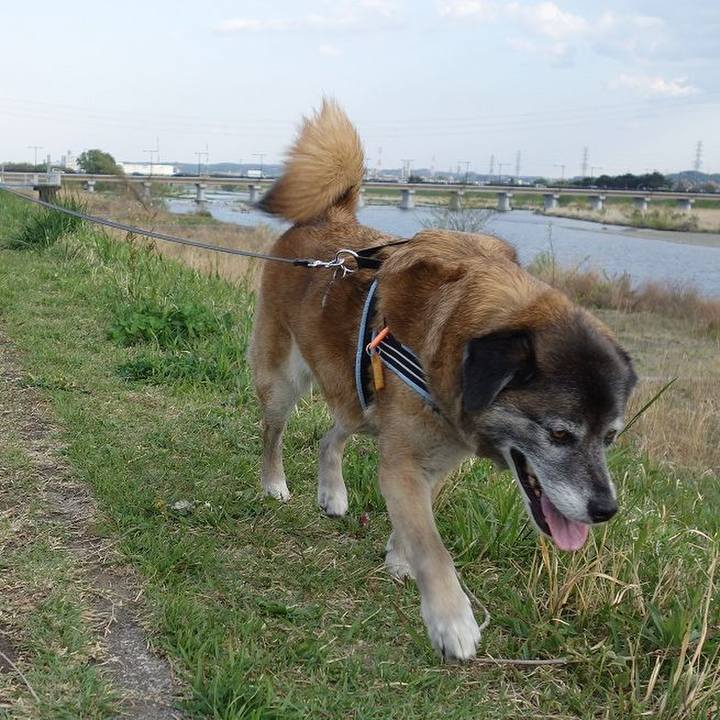 Ccbce745 c8ae 4ddc 8848 5bd8c2a85dd6 1523181419813