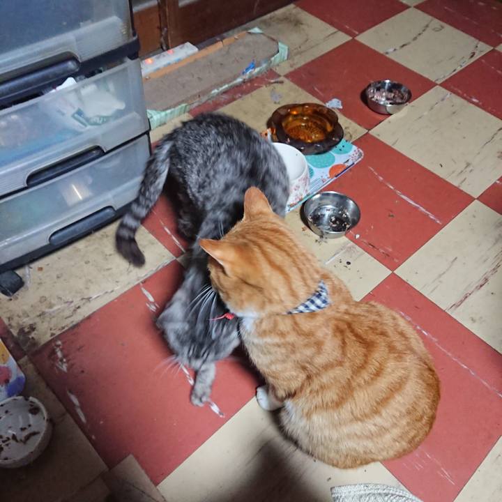 Ccbd0923 77e6 4ee3 bb12 69b613b99ee6 1573243015041