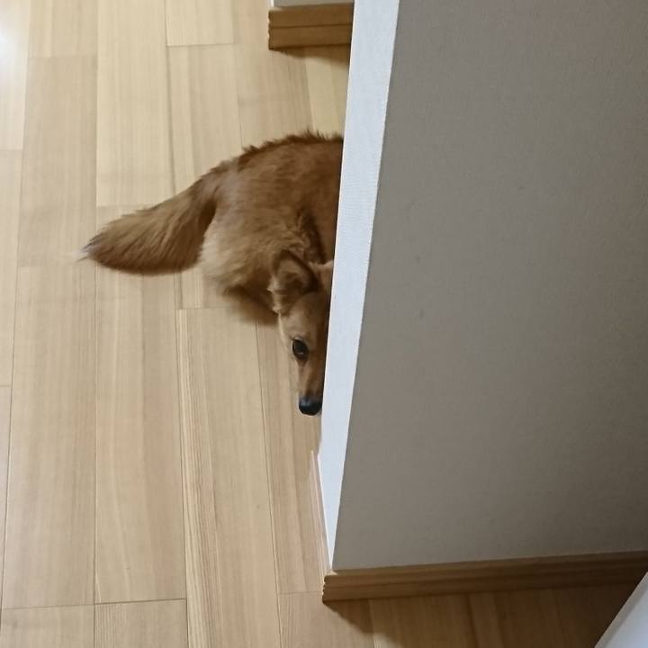 Ccbd188b ca88 4383 a0bd 86e413fccaa9 1523177857735