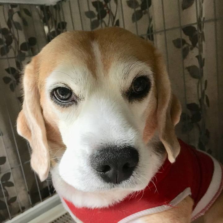 Ccbd2c7d ff6e 4c23 ab27 805d6824287f 1730591588300