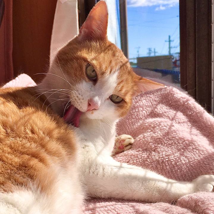 Ccbd4e6f 83f9 4383 b043 9df50297048b 1572847770890