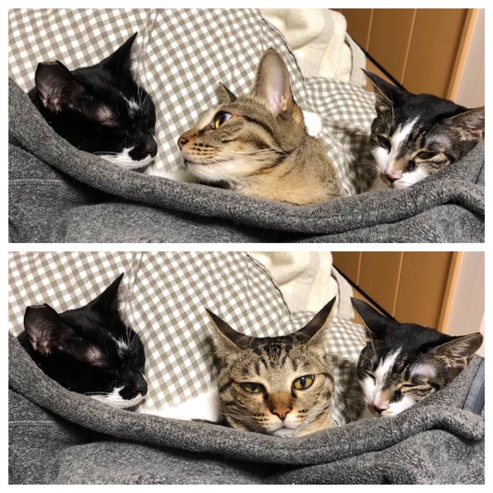 Ccbd921e 4b8b 47bd a432 d3b33c18c017 1542878419938