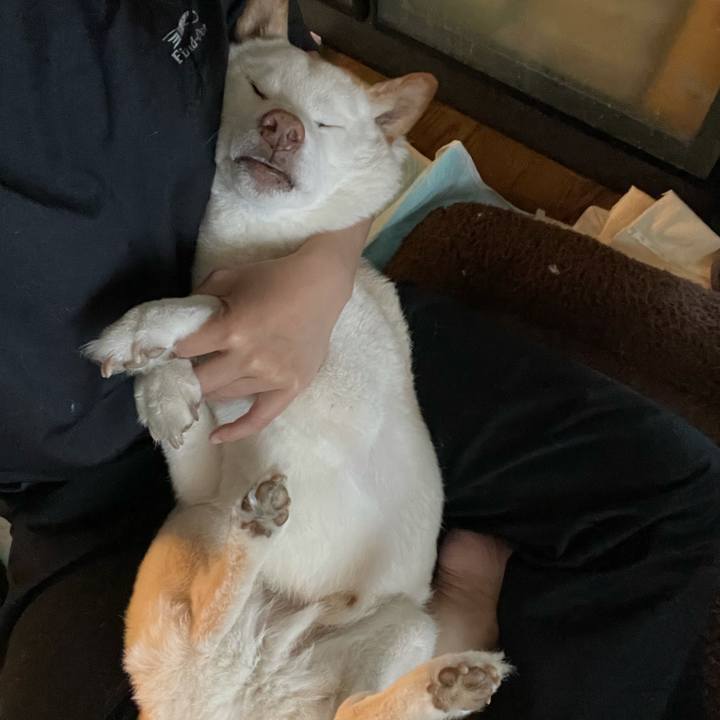 Ccbda9fc bf0b 4f2d 85a8 e2f7bb0d13ae 1637236473877