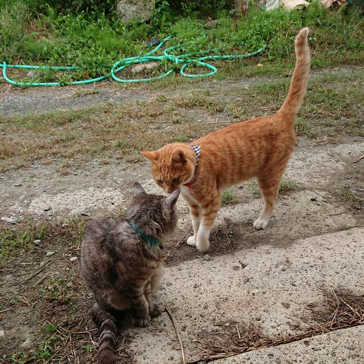 Ccbdf200 cb63 484b bec2 dd60e7903665 1569106507973