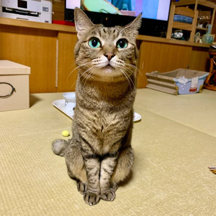 Ccbe379e ca49 4c77 a79f dca6218362eb 1636709811321