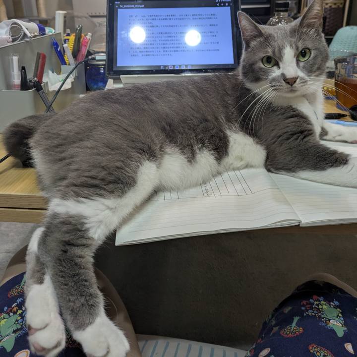 Ccbe43fc 3710 48d2 b65f 845dc8fe3421 1759490494931