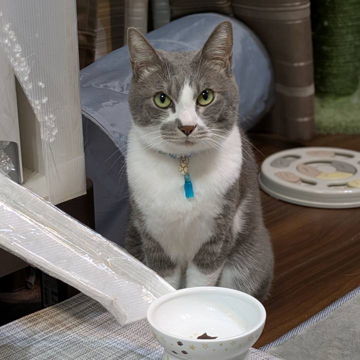 Ccbec6aa 4825 4823 8d36 aee136f98210 1736247706136