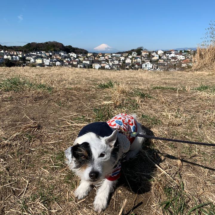 Ccbede60 a492 40c6 91ee 83cd578d2ec6 1676509374738