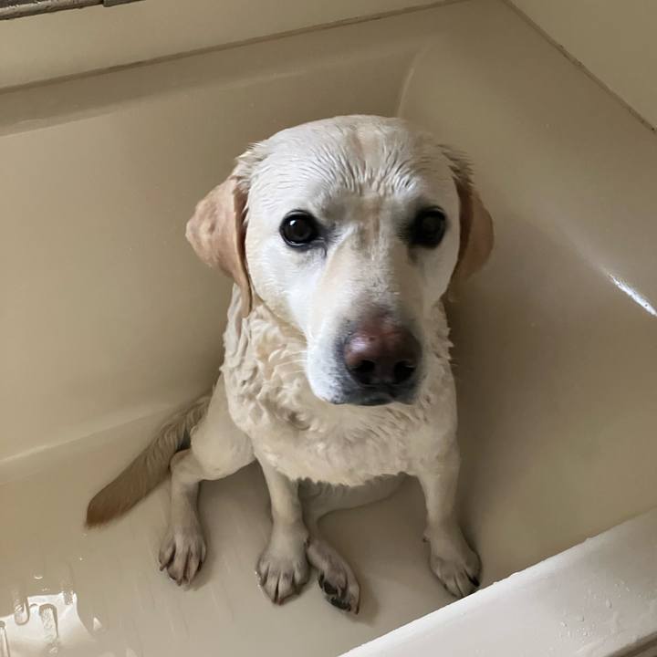 Ccbf0059 24f6 43d1 8ee3 0a0b826356e0 1677861002854