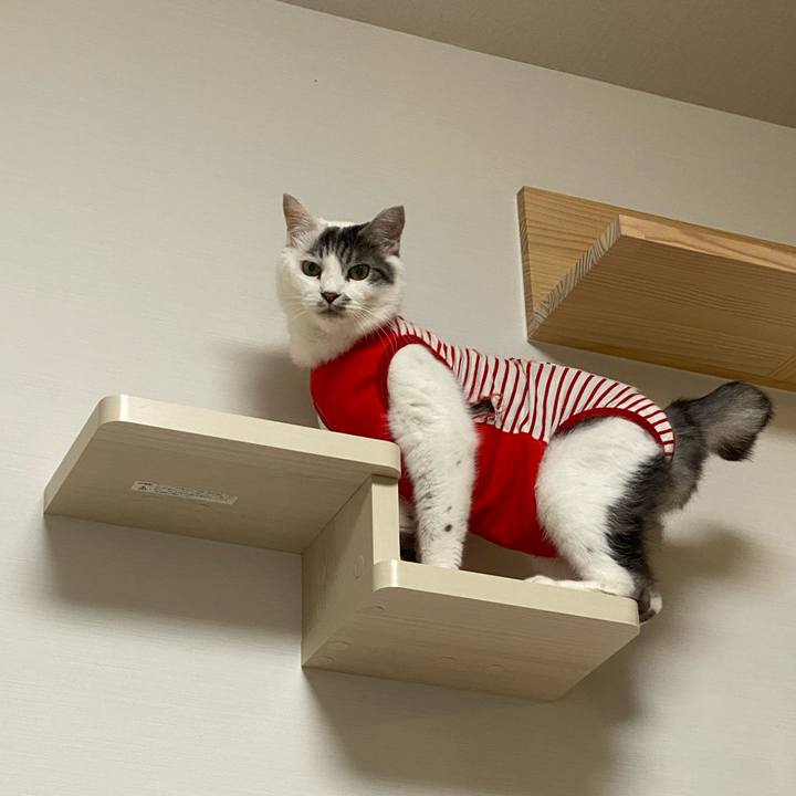 Ccbf2c04 6ab5 4ab7 afee 116b4b09cd46 1599665082614