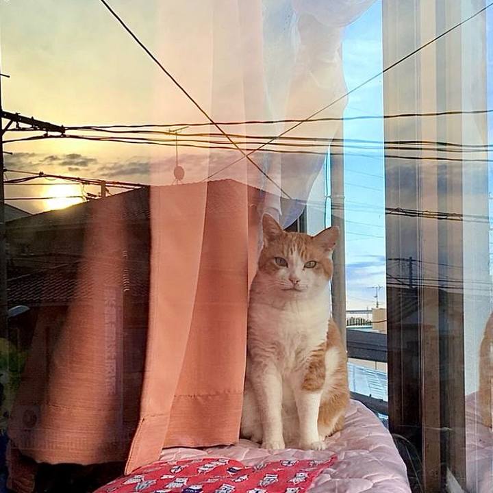 Ccbf5831 9923 4333 9e13 e7adf90d5c21 1737188225763