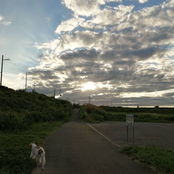 Ccc0479f e16a 463b a477 e657dda6f1ee 1569237564238