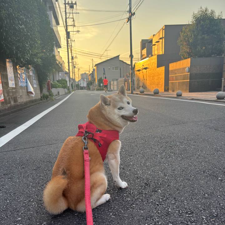 Ccc04947 7166 4603 95ca f1d2f90f8262 1753389299857