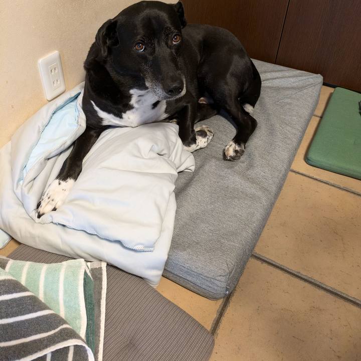 Ccc0564d 168e 45a8 b6f6 d0d707f71c4a 1720402182011