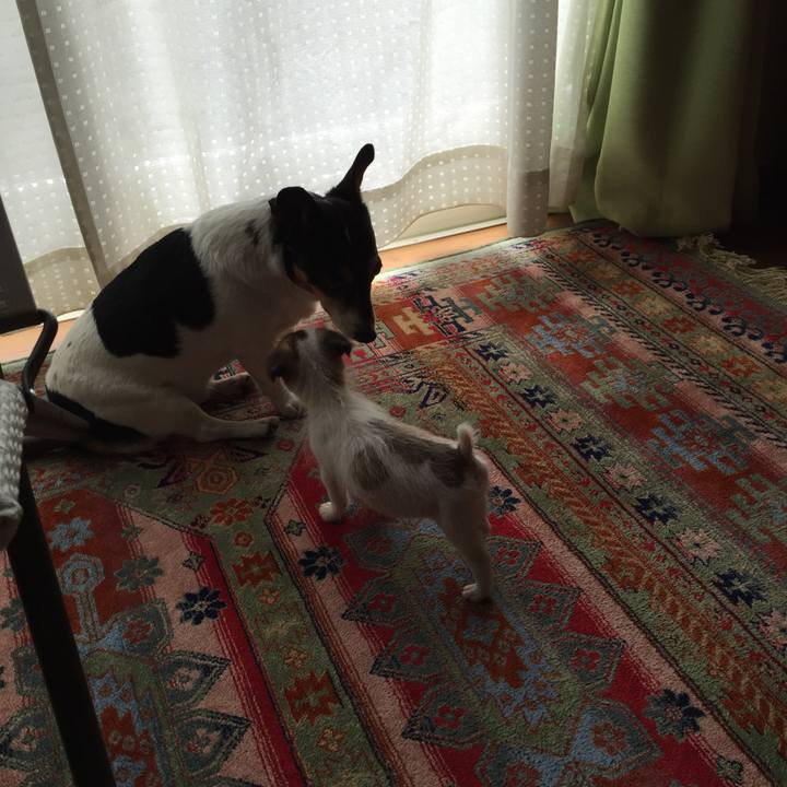 Ccc0634d ed35 46e0 84b4 9f734dad3cca 1590985417322